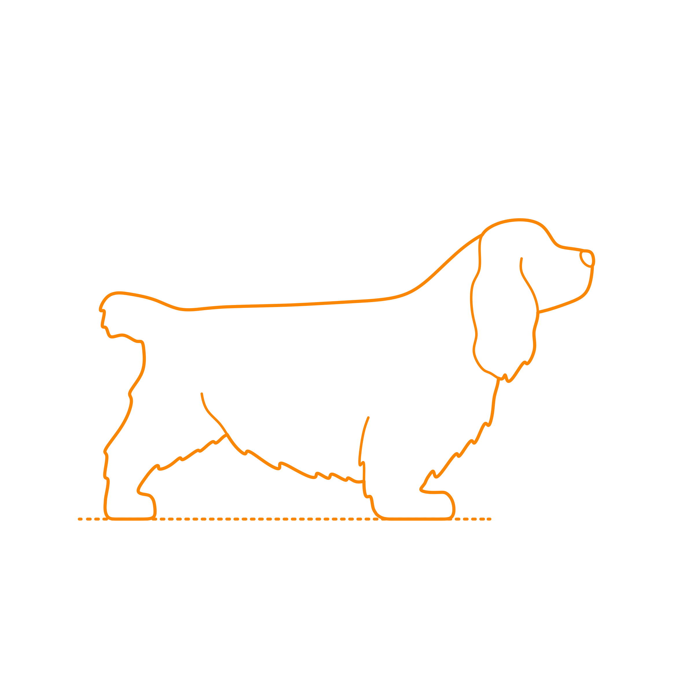 Animals Dogs Sussex Spaniel Size Svg Line Art Free Vectors